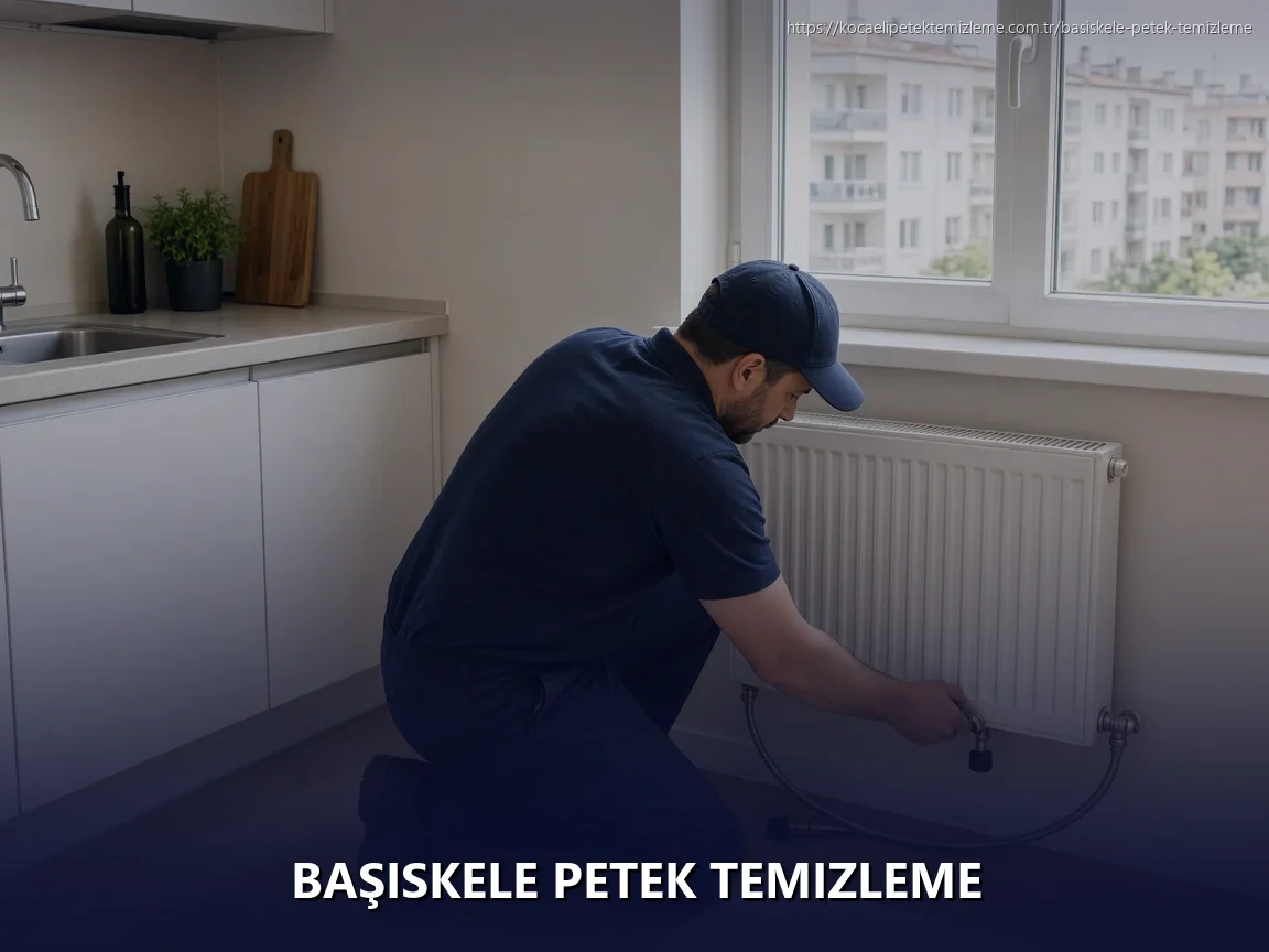 Başiskele Petek Temizleme